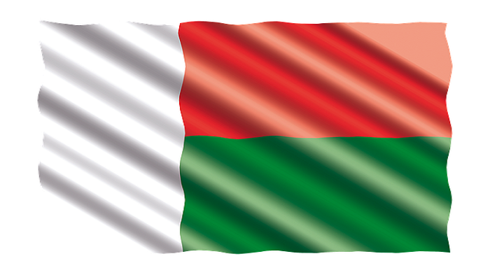 drapeau Madagascar-délocalisation à Madagascar-activsolutions